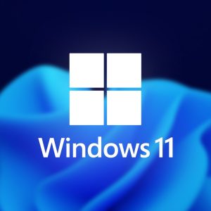Windows 11 pro (Copy)